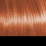 b5.png