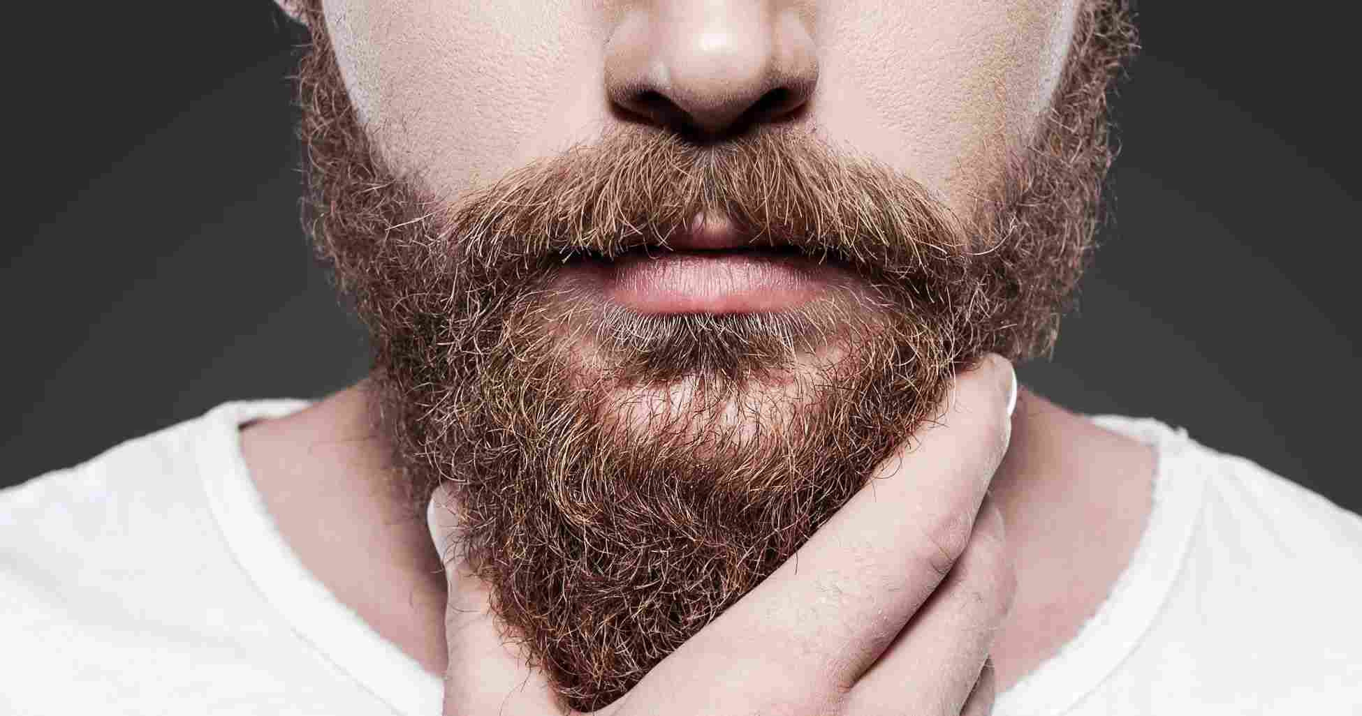 Beard or No Beard  Here is How You Decide