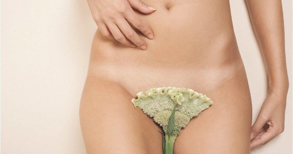 Why is Pubic Hair so Thick: Causes, Insights, and Solutions