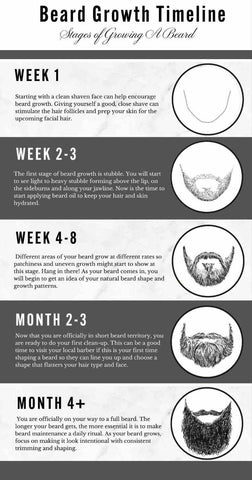 Beard Stages Chart