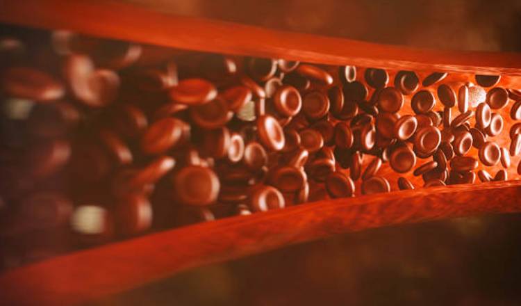 Increase In Blood Circulation