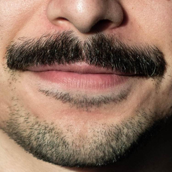 Thick Pencil Moustache