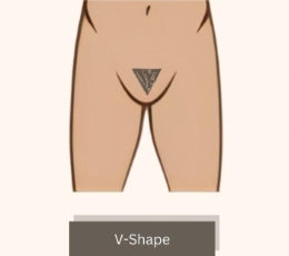 V-Shape