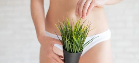Why It Grows and How to Care for It